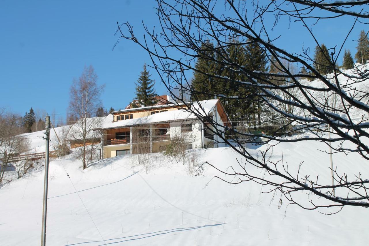Black Forest Apartements By Hotel Gruener Baum Feldberg 费尔德伯格 外观 照片
