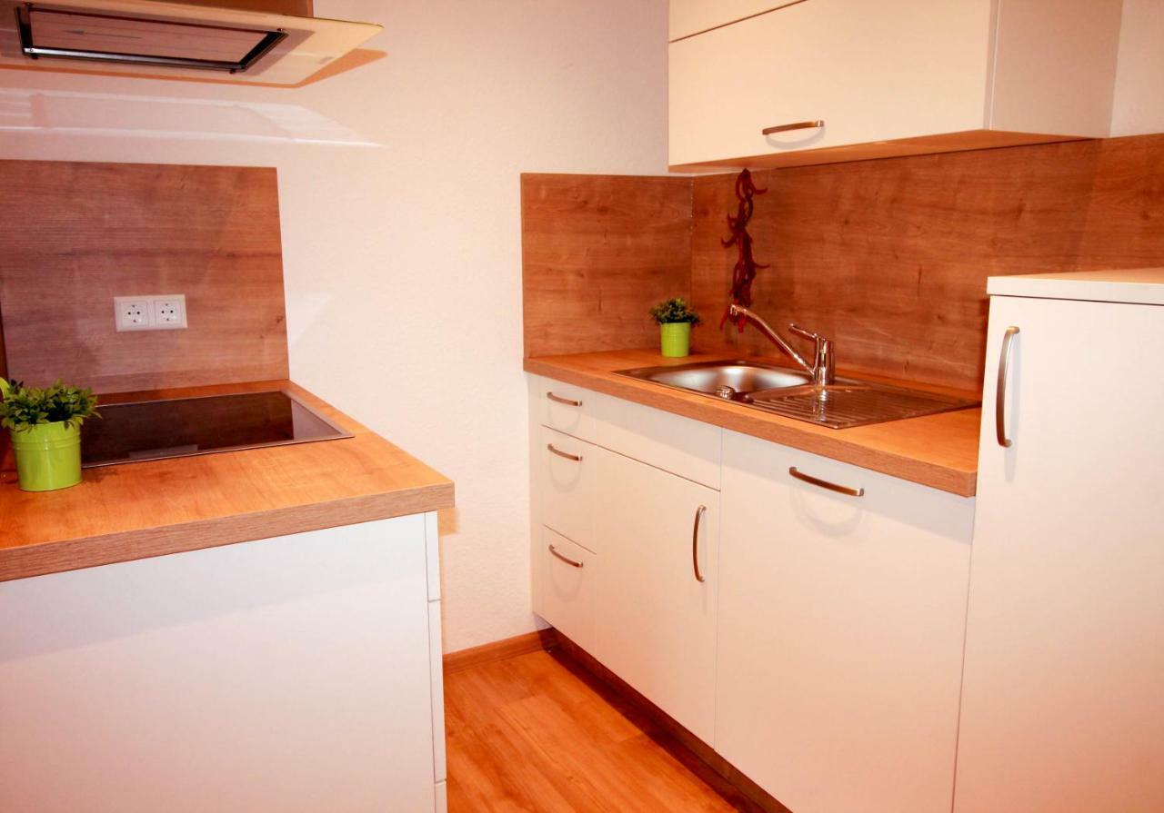 Black Forest Apartements By Hotel Gruener Baum Feldberg 费尔德伯格 外观 照片