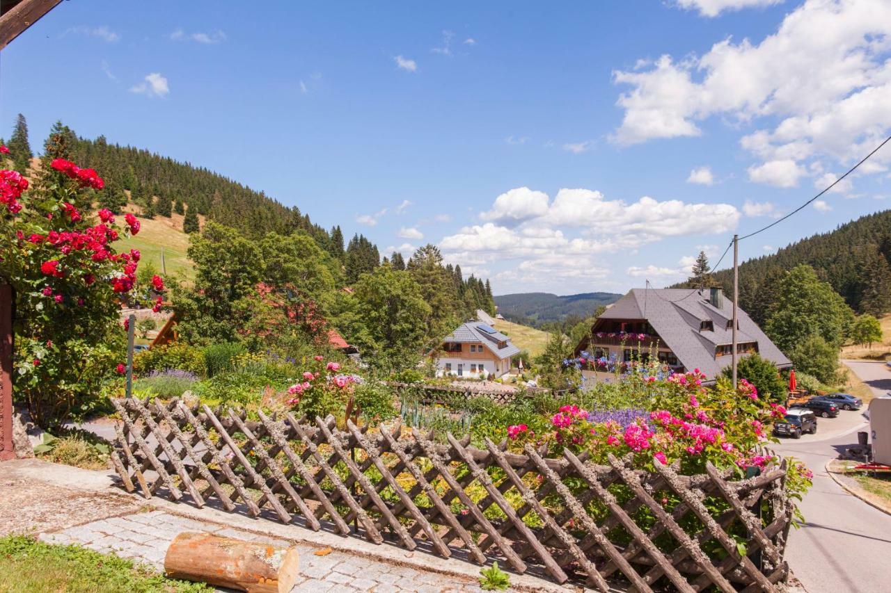 Black Forest Apartements By Hotel Gruener Baum Feldberg 费尔德伯格 外观 照片