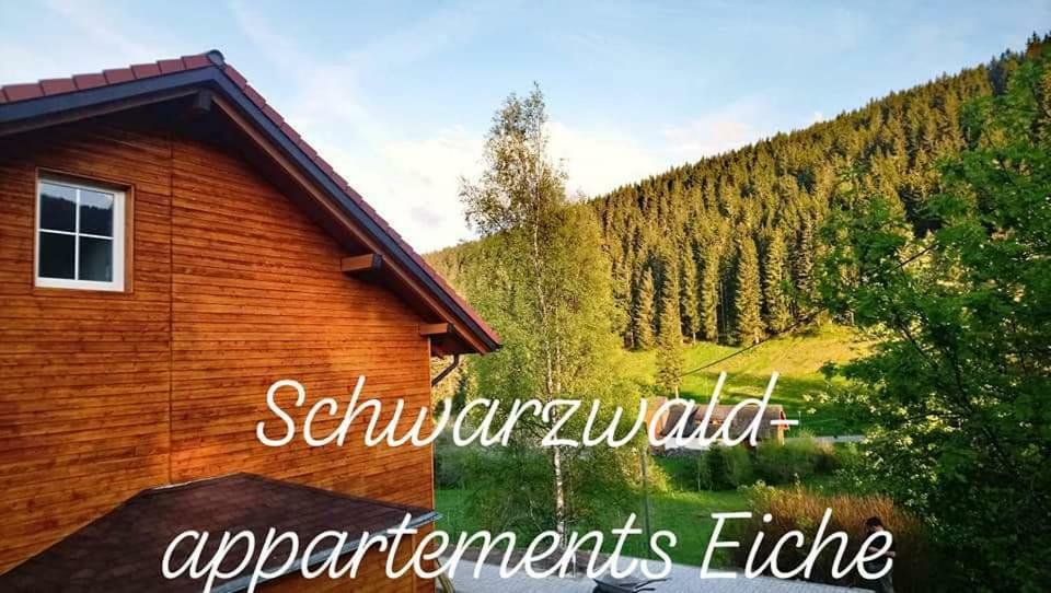 Black Forest Apartements By Hotel Gruener Baum Feldberg 费尔德伯格 外观 照片
