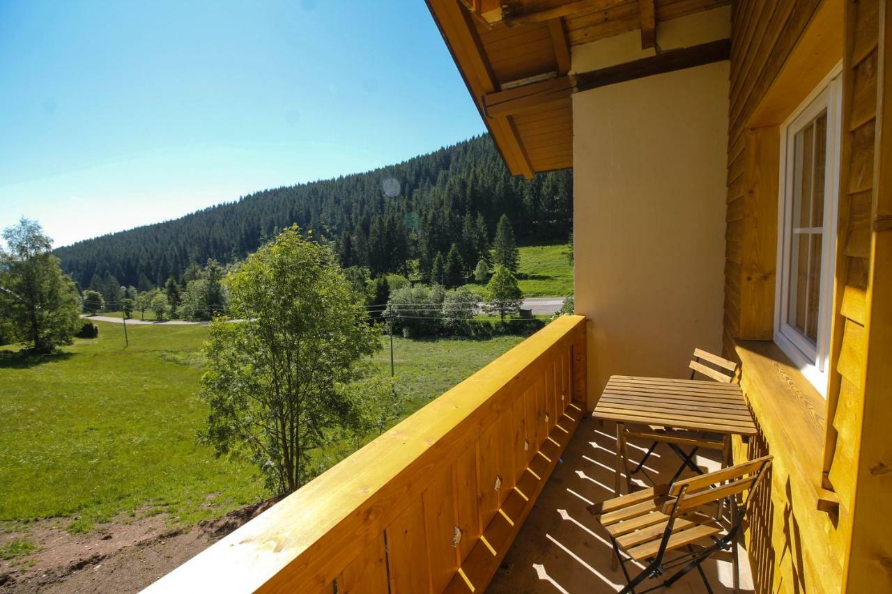 Black Forest Apartements By Hotel Gruener Baum Feldberg 费尔德伯格 外观 照片