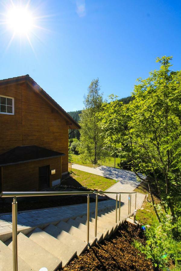 Black Forest Apartements By Hotel Gruener Baum Feldberg 费尔德伯格 外观 照片