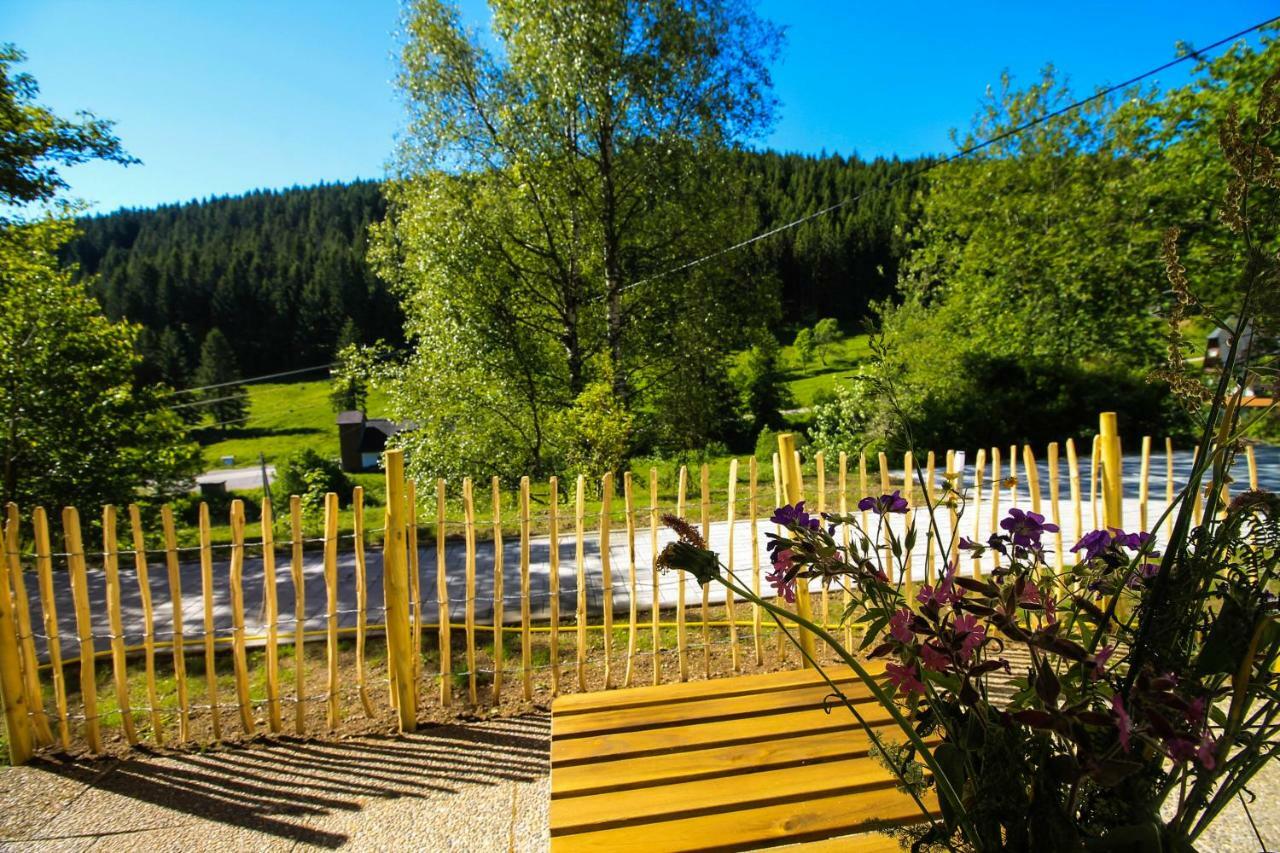 Black Forest Apartements By Hotel Gruener Baum Feldberg 费尔德伯格 外观 照片