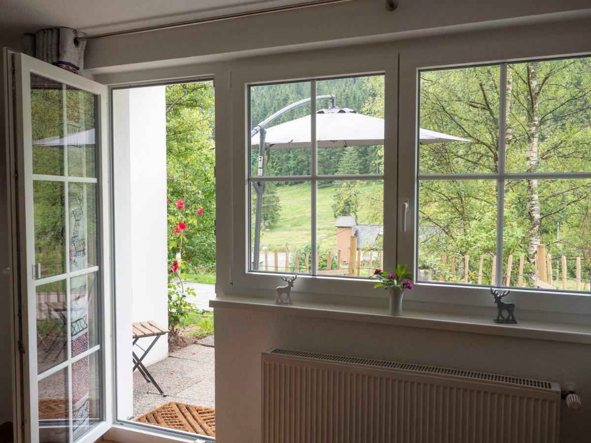Black Forest Apartements By Hotel Gruener Baum Feldberg 费尔德伯格 外观 照片